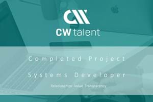 Systems Developer  - Danish Fin Tech - Completed