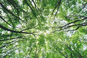 Completed Assignment - Product Manager - Danish Energy Business