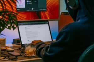 New Partnership - Growth Hacker - German IT Consulting Business